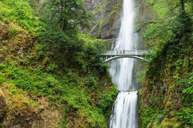 Multnomah Falls and Columbia River Gorge Waterfalls Tour Morning - Wahkeena Falls brings the first waterfall stop