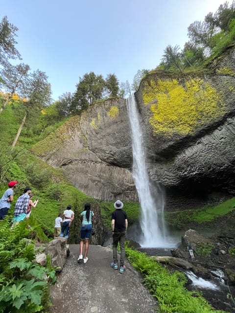 Multnomah Falls: Half-Day Tour of All 5 Major Waterfalls - The best parts at a glance