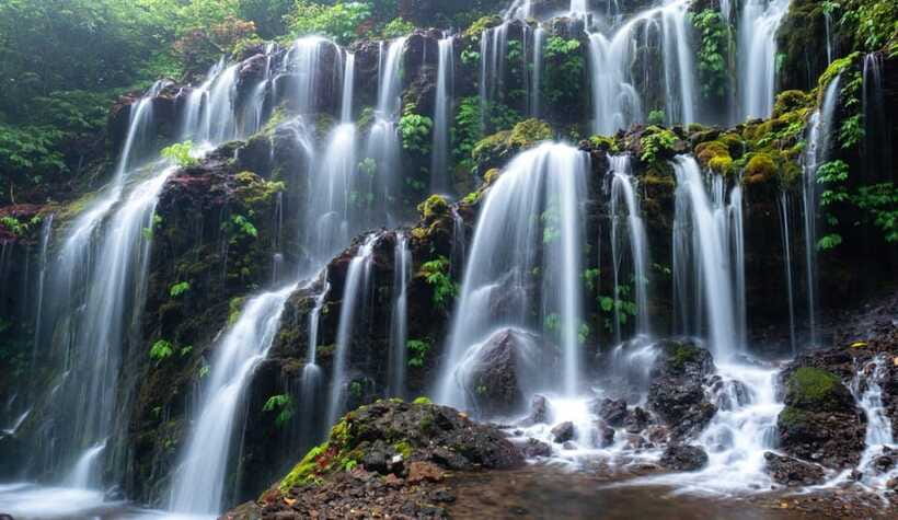 Munduk: Banyu Wana and Sekumpul Waterfall Trekking Tour - Timing, Heat, and Crowds