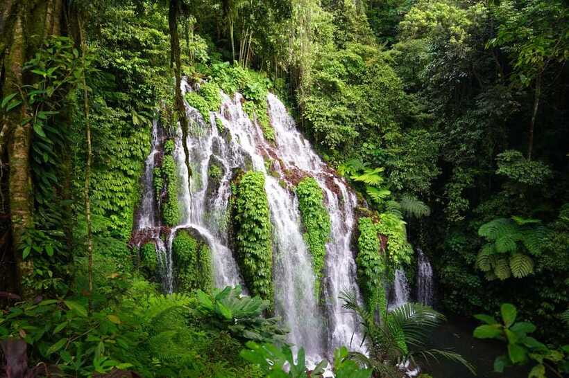 Munduk: Banyu Wana and Sekumpul Waterfall Trekking Tour - Is $50 a Fair Price?