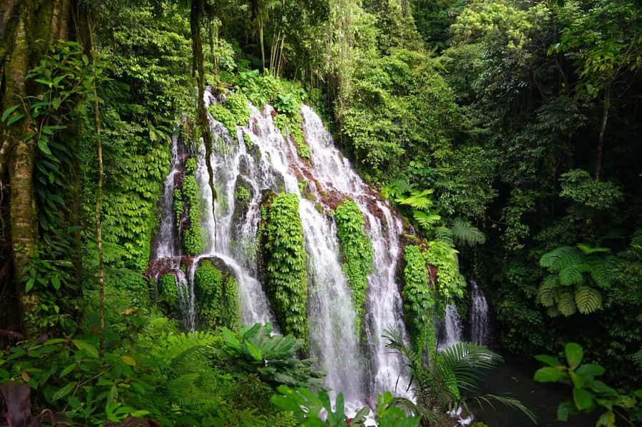 Munduk: Banyu Wana and Sekumpul Waterfall Trekking Tour - Banyu Wana Amerta and the First Swim