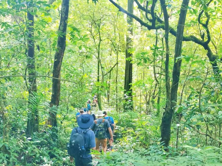 Munduk : Jungle Trekking,Canoeing,waterfall &authentic lunch - Canoeing across the quiet lake water