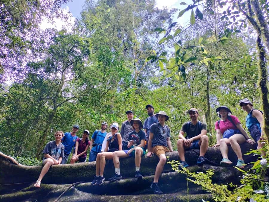 Munduk : Jungle Trekking,Canoeing,waterfall &authentic lunch - Walking through the jungle near two mountain lakes