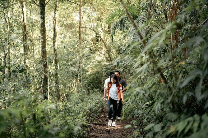 Munduk Twin Lake Jungle Hike, Ulun Danu Temple, & Waterfall - Why Munduk makes a better half-day escape