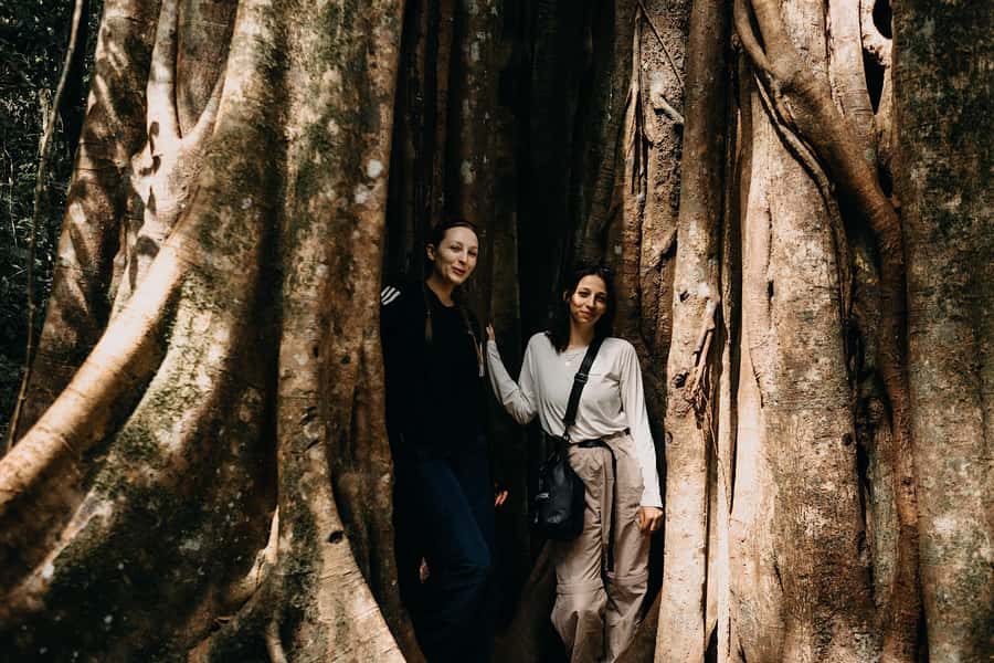 Munduk: Twin Lake Jungle Hike, Ulun Danu Temple, & Waterfall - Who should book this North Bali day?