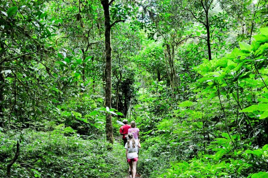 Munduk: Twin Lakes Jungle Hike with Lake Canoe and Waterfall - Key points to know before you go