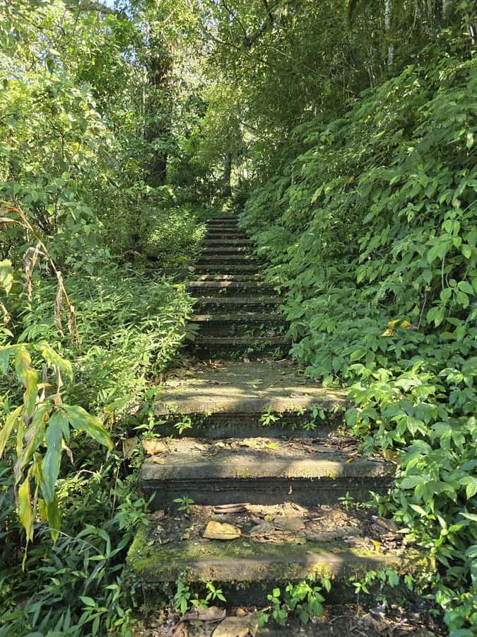 Munduk: Twin Lakes Jungle Hike with Lake Canoe and Waterfall - What to bring and who should book