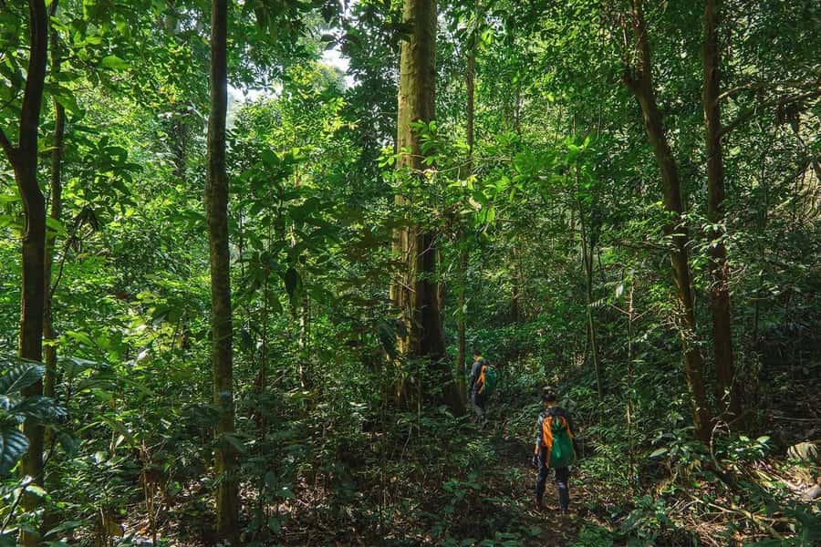 Munduk: Twin Lakes Jungle Hike with Lake Canoe and Waterfall - Crossing the lake by traditional canoe