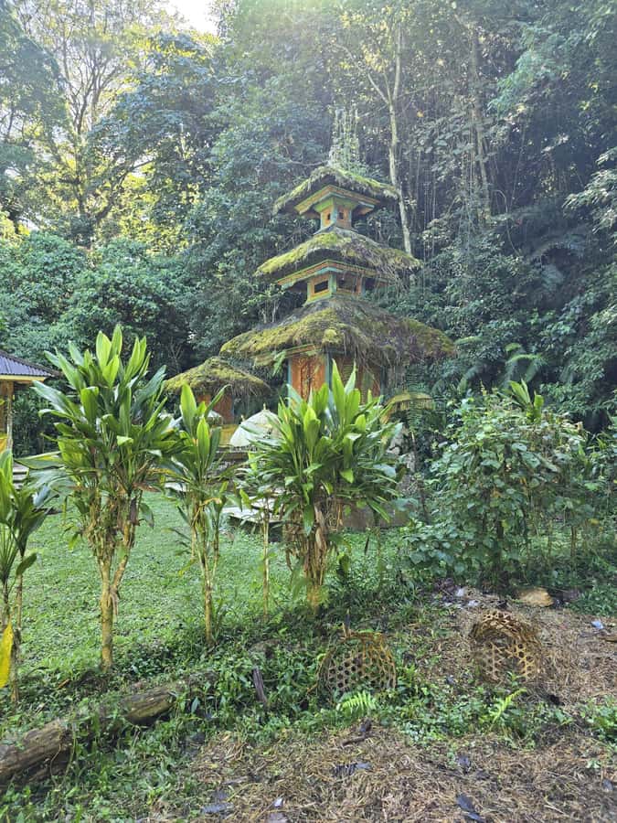 Munduk: Twin Lakes Jungle Hike with Lake Canoe and Waterfall - The optional Balinese lunch