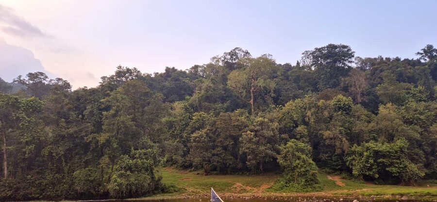 Munnar: Anakulam Jeep Safari with Waterfall and Elephant - Tiger Cave, with an important reality check