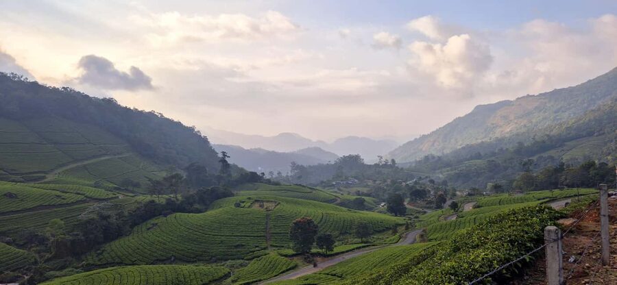 Munnar: Anakulam Jeep Safari with Waterfall and Elephant - Pace, language, and comfort