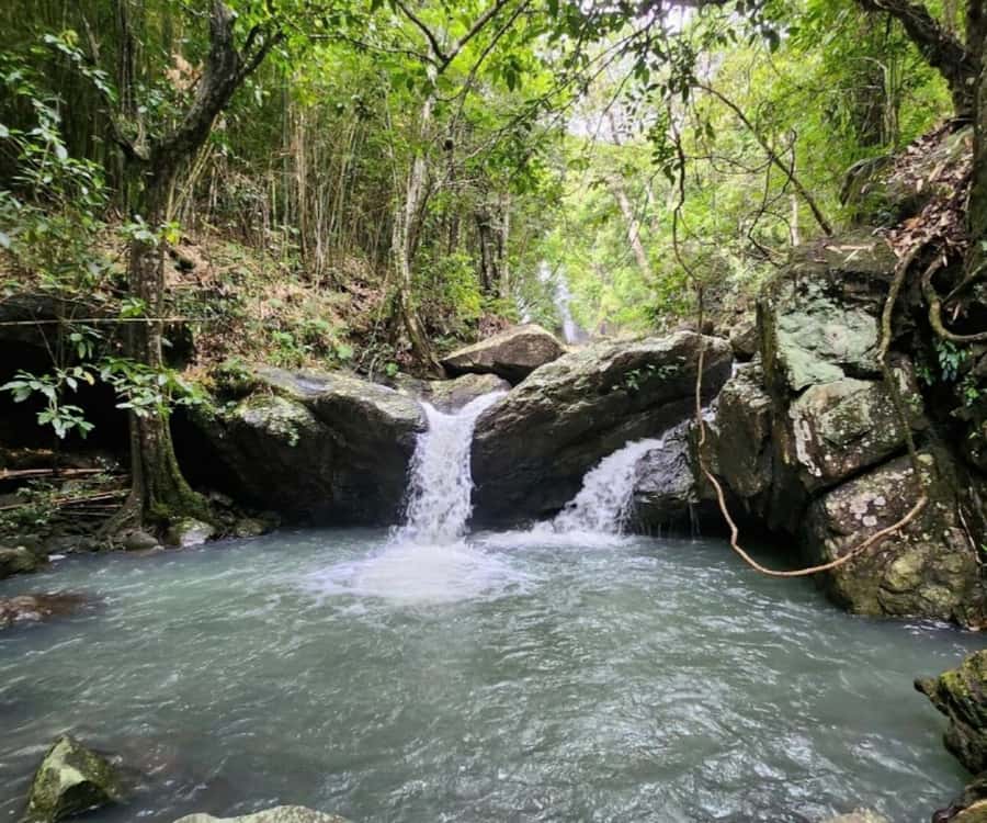 Nadi: Waterfall Tour Adventure with Refreshments and Lunch - Why the waterfall is only half the story