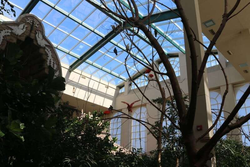 Niagara Falls, Canada: Bird Kingdom Entry Ticket - Start with the lower exhibits and the Night Jungle