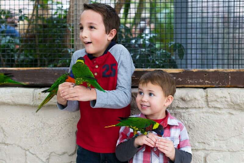 Niagara Falls, Canada: Bird Kingdom Entry Ticket - How the visit feels for families and older visitors