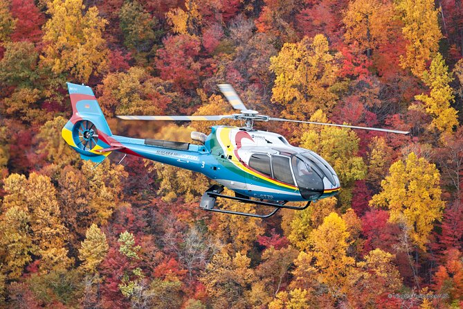 Niagara Falls Canada Helicopter Tour - Is $153.86 per person good value?