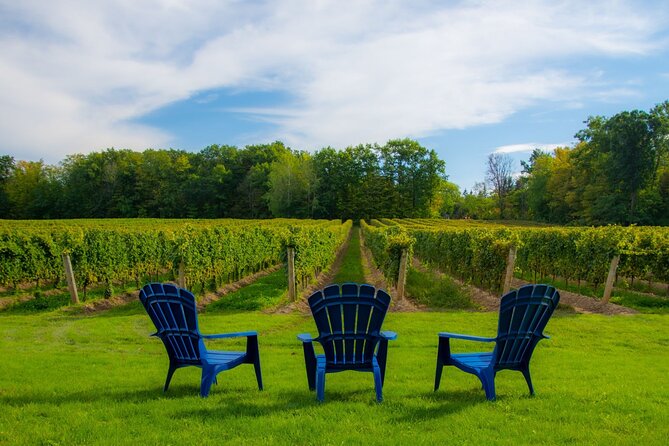 Niagara Falls Day Tour from Toronto (9 Hours) - Niagara City Cruises and the power of the Falls