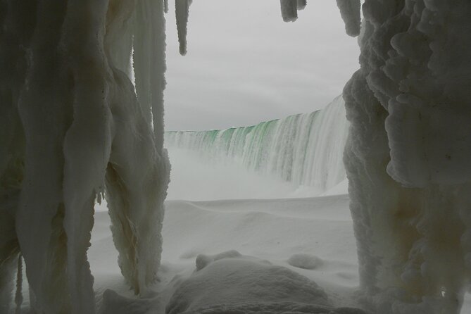 Niagara Falls Private Custom Tour from Toronto Area - Butterflies offer a calmer family stop