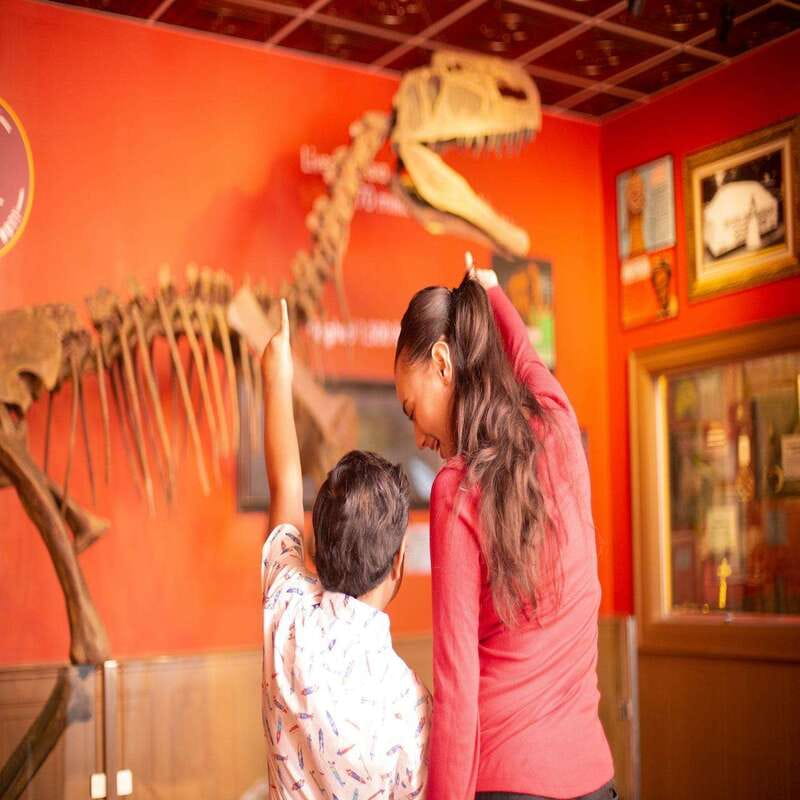 Niagara Falls: Ripley's Believe It or Not! Museum Entry - Starting on Clifton Hill