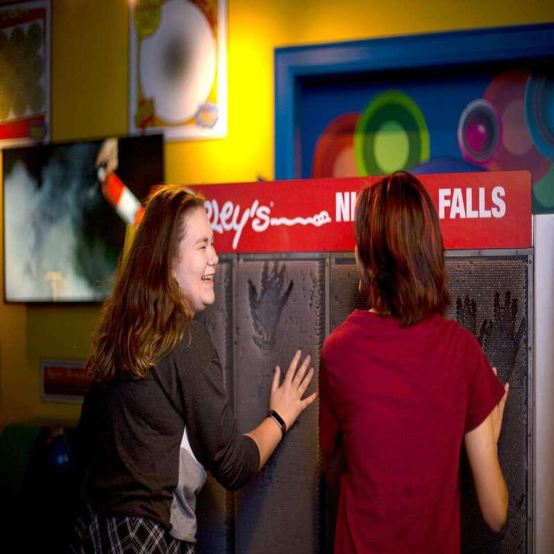Niagara Falls: Ripley's Believe It or Not! Museum Entry - Celebrity Replicas from Madonna to the Dalai Lama