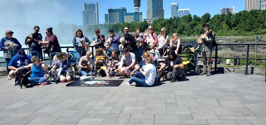 Niagara Falls: USA Side Guided Tour - Prospect Point and the Observation Deck