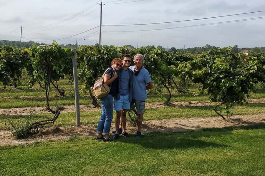 Niagara Falls: USA Small-Group Boutique Wine Tour - Bella Rose Vineyard and the first tasting