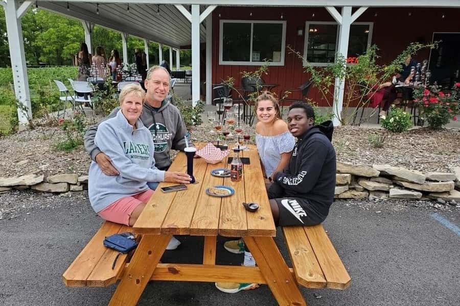 Niagara Falls: USA Small-Group Boutique Wine Tour - What the private van adds