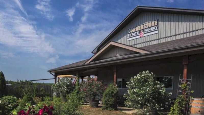 Niagara Falls: Winter Niagara Wine Tour with Transportation - Why winter may be a good time to go