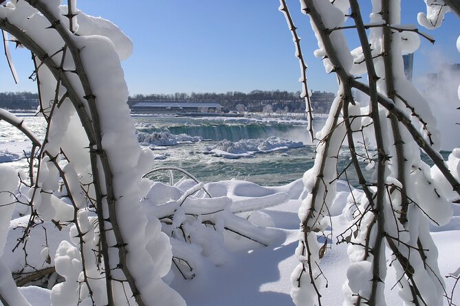 Niagara Falls Winter Wonderland Small Group Tour - What the $96.95 price really covers