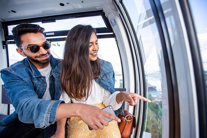 Niagara SkyWheel Admission Ticket - Why the $12.73 Price Can Be Worth It