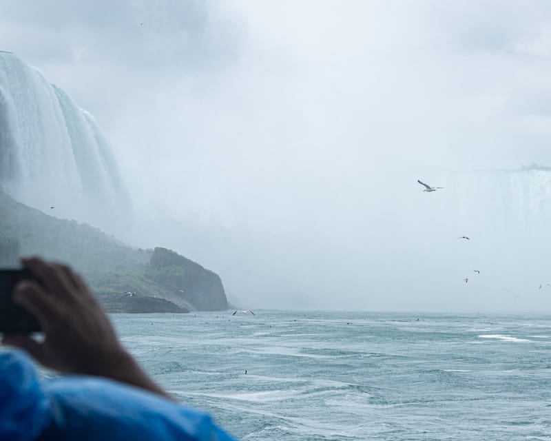 Niagara USA: Daredevil Walking Tour & Maid of Mist Boat Ride - Who will get the most from this tour