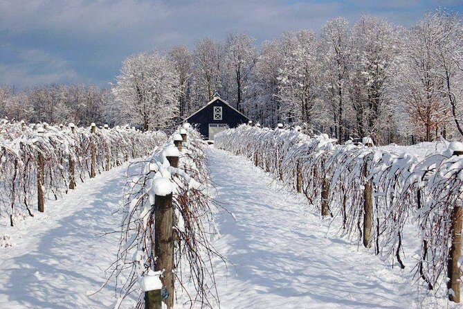 Niagara Wine Tour and Tastings with Transportation - Wayne Gretzky Estates offers atmosphere, not a tasting