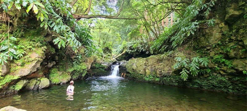 Nordeste/Northeast coast FULL DAY Waterfalls Hike - Why Nordeste is worth giving a full day