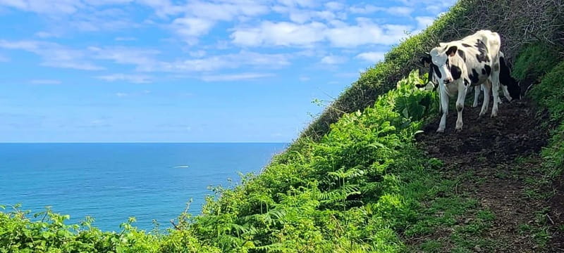 Nordeste/Northeast coast FULL DAY Waterfalls Hike - Walking to coastal viewpoints