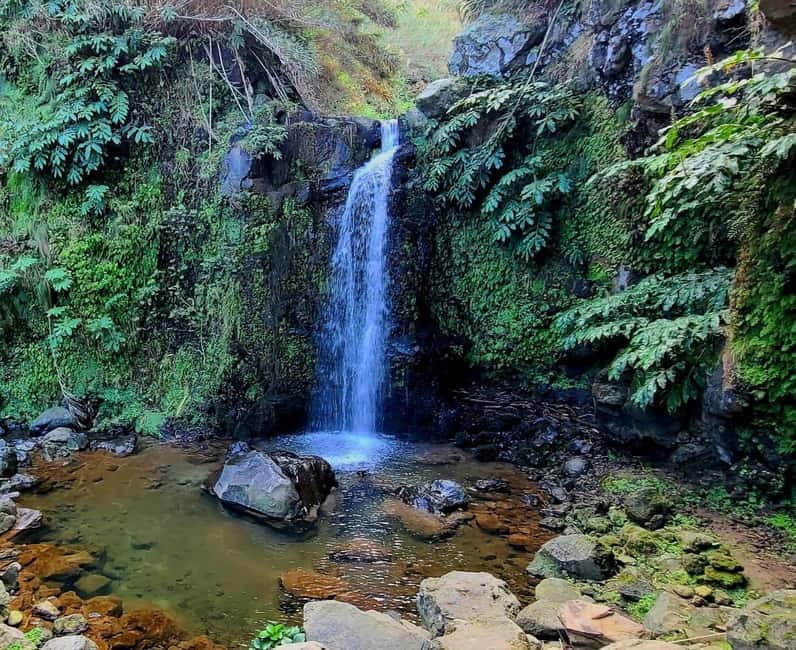 Nordeste/Northeast coast FULL DAY Waterfalls Hike - Reaching the waterfalls and swimming pools
