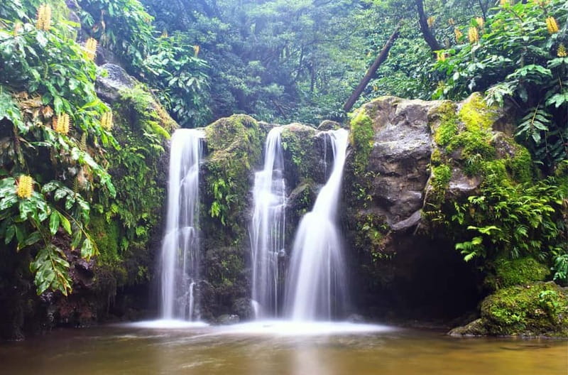 Nordeste/Northeast coast FULL DAY Waterfalls Hike - Booking flexibility and final practical advice
