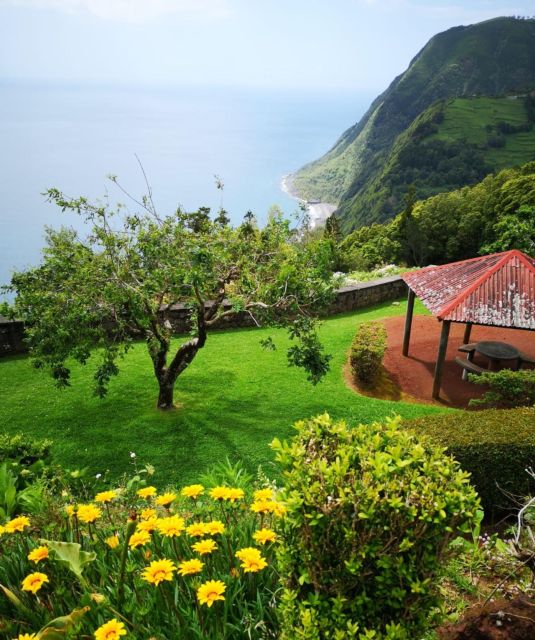 Nordeste: Waterfall, Hot Spring and Viewpoints Full-Day Tour - What the $88 price really covers