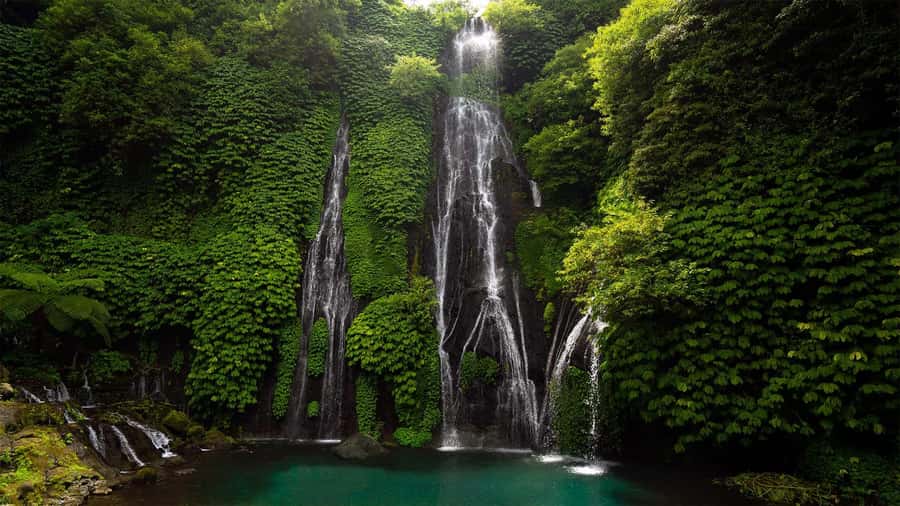 North Bali: Banyumala Waterfall and Ulun Danu Beratan Temple - A North Bali day built around water and mountain views