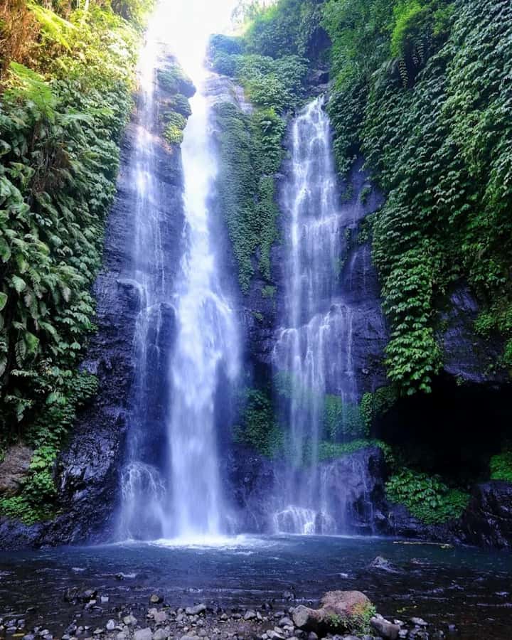 North Bali: Explore Munduk Waterfall Trekking Experience - Red Coral Waterfall starts the forest walk