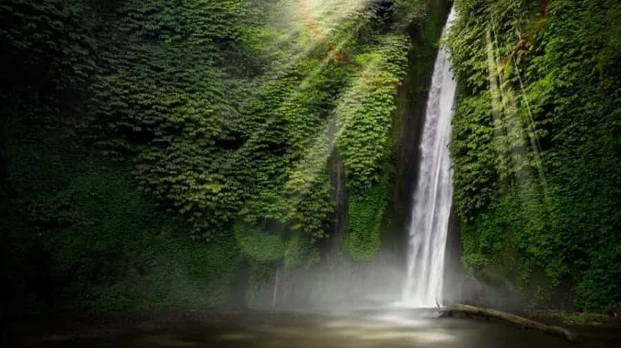 North Bali: Explore Munduk Waterfall Trekking Experience - Labuan Kebo is made for a slower stop