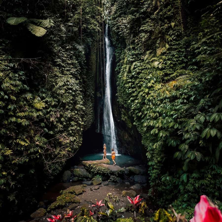North Bali: Monkey Forest -Waterfall- Rice Terrace-Ulun Danu - Why this four-stop Bali tour works