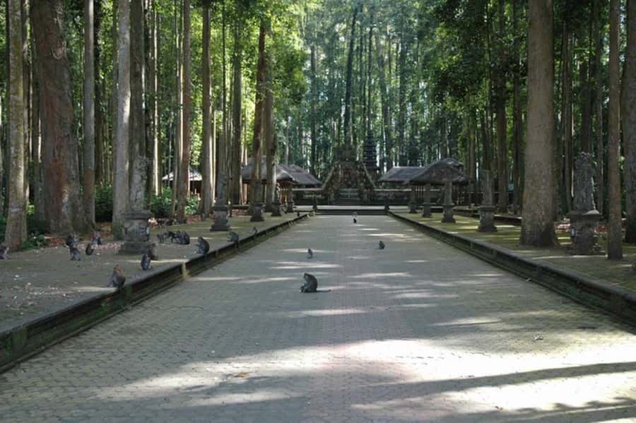 North Bali: Monkey Forest -Waterfall- Rice Terrace-Ulun Danu - Leke Leke Waterfall and the option to swim