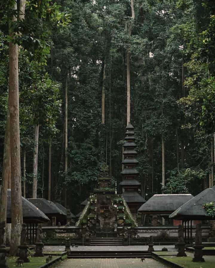 North Bali: Monkey Forest -Waterfall- Rice Terrace-Ulun Danu - Is $41 a good value?