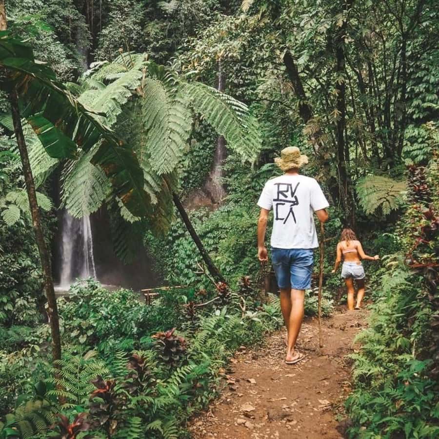 North Bali: Monkey Forest -Waterfall- Rice Terrace-Ulun Danu - Sangeh Monkey Forest and its 600 macaques