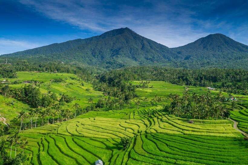 North Bali: Private Day Tour with Banyumala Waterfall - At a glance