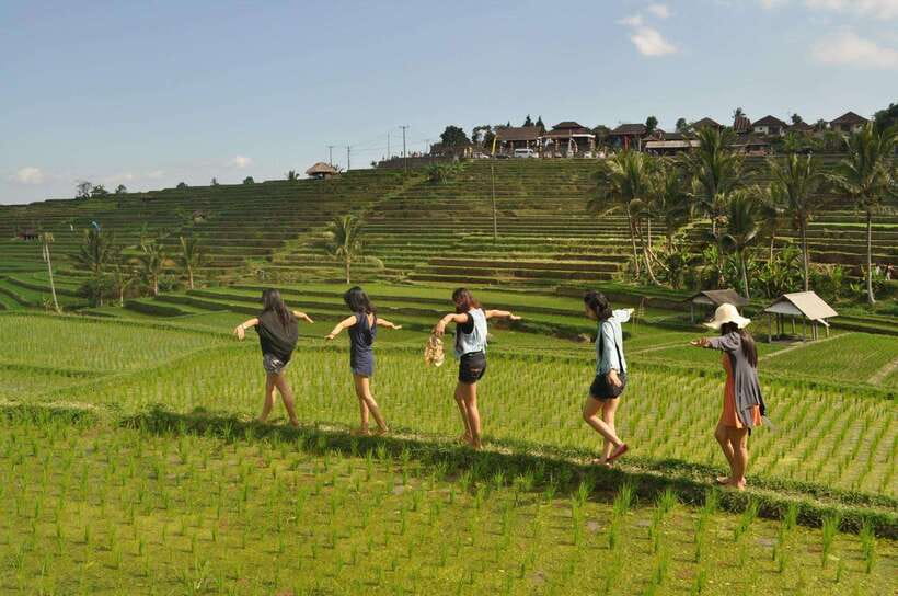 North Bali: Private Day Tour with Banyumala Waterfall - What the $49 price really covers