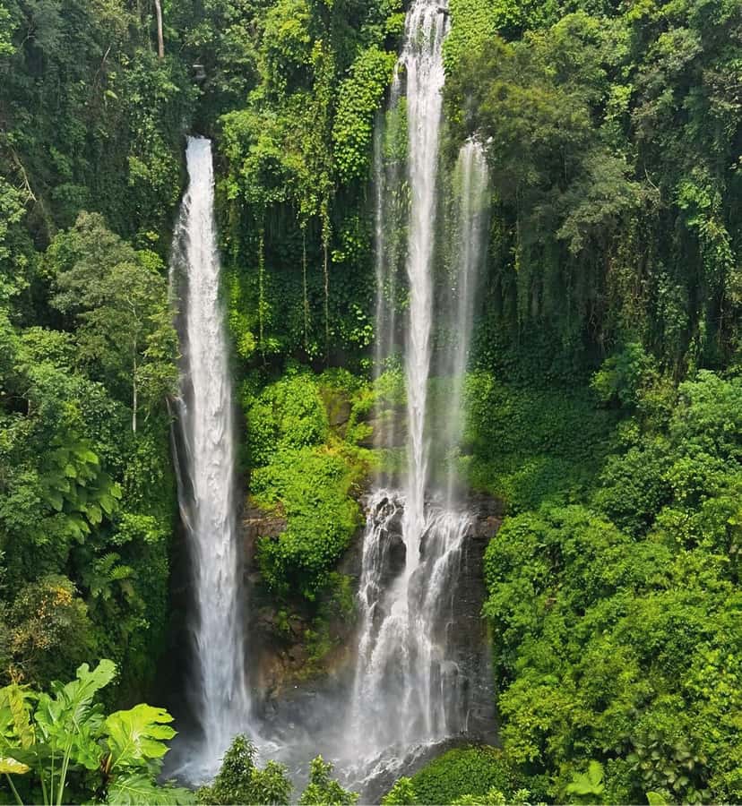 North Bali: Sekumpul and Banyumala Waterfalls & Rice Terrace - Banyumala brings a calmer kind of beauty