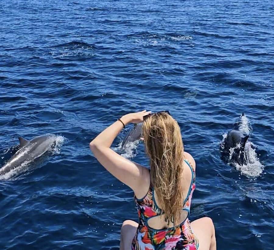 North Bali: Sunrise Tour with Dolphins, Waterfalls & Temples - Key points to know before booking