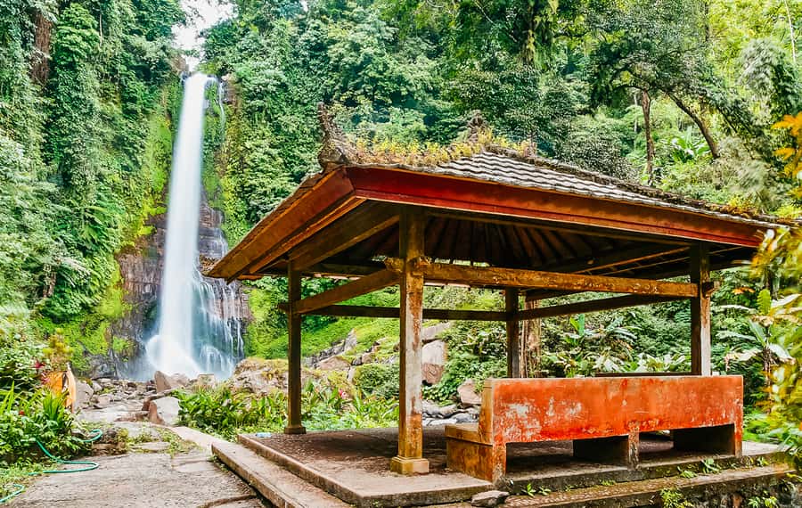 North Bali: Sunrise Tour with Dolphins, Waterfalls & Temples - What the $55 price really covers