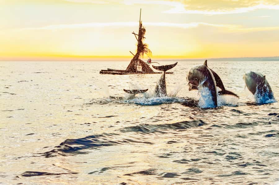North Bali: Sunrise Tour with Dolphins, Waterfalls & Temples - Final call: book it for variety, not for a guaranteed dolphin show