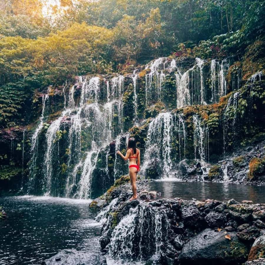 North Bali Trip with 2 Hidden Waterfalls Private Tour - Key points to know before booking